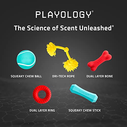 Playology Dog Toys | Dual Layer Ring Durable Dog Toy for Tough Chewers | Cheddar Cheese Scented Jumbo Chew Toy for Large Dogs - size: Jumbo, style: Cheddar Cheese
