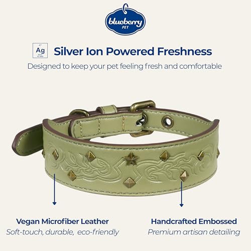 Blueberry Pet Premium Embossed Sage Green Glam Silver-Powered Freshness Microfiber Leather Dog Collar with Antique Brass Studs - color: Sage Green, size: Small