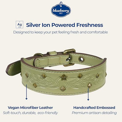 Blueberry Pet Premium Embossed Sage Green Glam Silver-Powered Freshness Microfiber Leather Dog Collar with Antique Brass Studs - color: Sage Green, size: Small