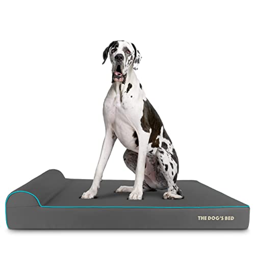 The Dog’s Bed Orthopedic Memory Foam Dog Bed with Headrest, Calming Surface – CertiPUR-Certified Foam, Oxford Fabric, Grey with Blue Trim, XXL, 6-Inch - color: Grey with Blue Trim, size: XXL (6" deep)