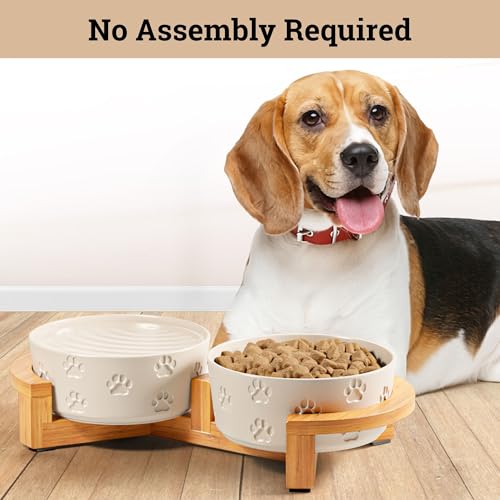 Ceramic Dog Bowls with Stand - Medium Dog Bowl Set with Stand Non-Slip - 2 Ceramic Dishes with Anti-Skid Bamboo Stand for Medium Dogs - Elevated Dog Bowls Set of 2 - Raised Pet Feeding Station - color: White with Stand, size: Medium