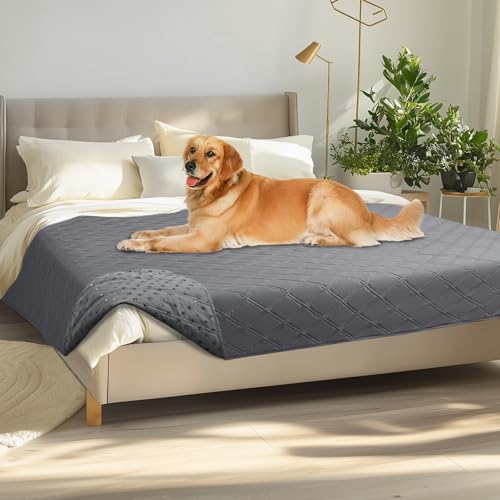 Luciphia 100% Waterproof Couch Cover Blanket for Dogs Anti-Slip Pet Couch Protector Sofa Mat Puppy Cat with Non-Slip Bottom, Light Grey, 68x82 Inch - color: Light Grey, size: 68" x82"