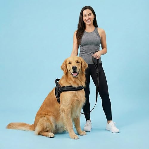 Didog Soft Flannel Padded Dog Vest Harness, No Pull/Quick Fit Reflective Dog Strap Harness, Easy for Training Walking (S:Chest 18-22", Black) - color: Black, size: S:chest 18-22"