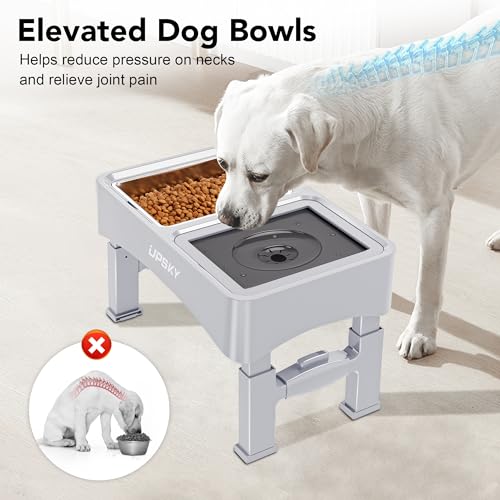 UPSKY 3-in-1 Elevated Dog Bowls: Slow Feeder, Adjustable Stand, No Spill Dispenser - Stainless Steel Food & Water Bowl for Small to Medium Dogs, White - color: E-3-in-1 (White)