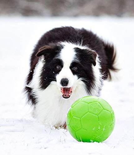 Jolly Pets Large Jolly Soccer Ball Floating-Bouncing Dog Toy; 8" Green Apple - color: Apple Green, size: 8 Inch Diameter