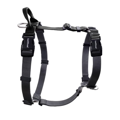 Non Restrictive No Pull Dog Harness, Neck Buckle Desgin, Back Handler, Lightweight Easy Walk Freedom Harness, Six Points Adjustment, Small Dogs Chest(17-23inches) Black - color: Black/Grey, size: S