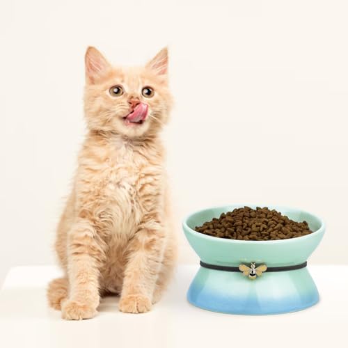 Cute Ceramic Tilted Food Bowls for Indoor Cats Cat Bowl Elevated Cat Bowls Whisker Friendly 6.1 Inch Wide 15° Raised Kitten Supplies Dishwasher and Microwave Safe Blue Cats Water Bowl - color: Blue Ceramic Elevated Cat Bowl
