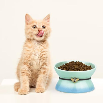 Cute Ceramic Tilted Food Bowls for Indoor Cats Cat Bowl Elevated Cat Bowls Whisker Friendly 6.1 Inch Wide 15° Raised Kitten Supplies Dishwasher and Microwave Safe Blue Cats Water Bowl - color: Blue Ceramic Elevated Cat Bowl