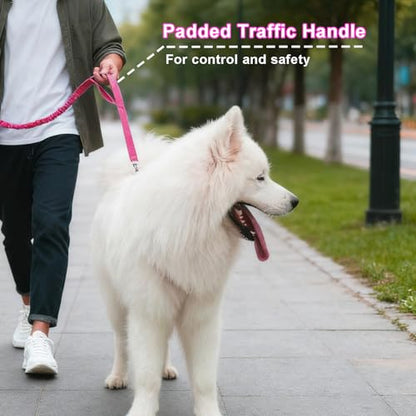 5FT Bungee Dog Leash with 2 Handles, Reflective Strong Nylon Traffic Leash, Shock Absorbing Lead for Large Medium Dogs Walking Training Controlling, Rose red - color: Rose red