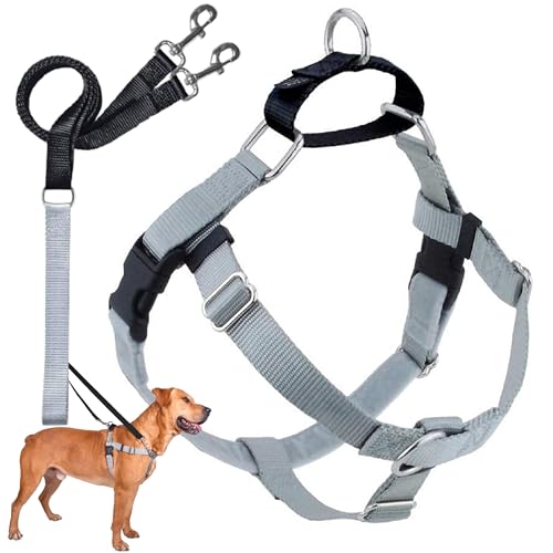 2 Hounds Design Freedom No Pull Dog Harness, Adjustable Harness and Leash Set, Easy Walking & Comfortable Control, Fits Small, Medium & Large Dogs, Solid Colors, Made in USA, 5/8" XS, Silver - color: Silver, size: XS (Chest 15"- 20")