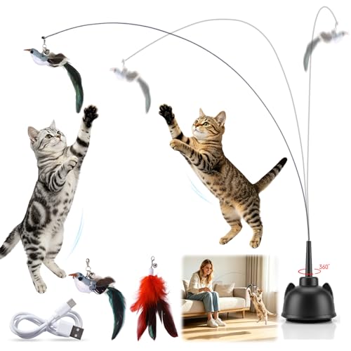 2 in 1 Electric Cat Wand Toy Interactive Cat Toys for Indoor Cats 360° Flying Bird Cat Toy, 2-Speed Fly Cat Chase Toy Automatic Cats Toys with Self ON/Off Suction Cup Electric Cat Teaser Wand - style: Electric Wand-Black