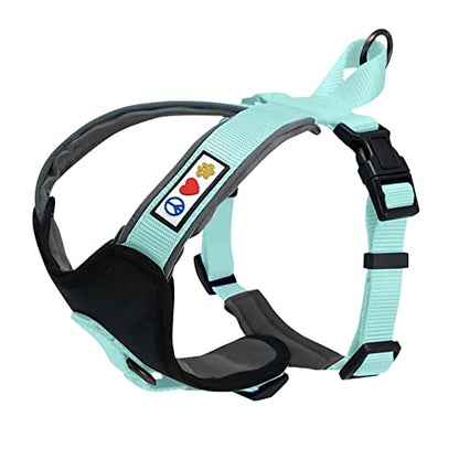 Pawtitas Reflective Padded Dog Harness for X-Small Dogs – Adjustable Puppy Step-in Vest | Fits Chest 14–18 in | No Pull Training Harness | XS | Teal - color: Teal, size: X-Small (Pack of 1)