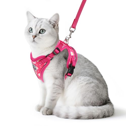 PUPTECK Cat Harness and Leash Set Escape Proof Reflective Cat Walking Harness Adjustable Soft Breathable Mesh Vest for Small Pets, Fuchsia Dasiy, S - color: Fuchsia Daisy, size: S (NECK 9.5"-11", CHEST 13"-16")