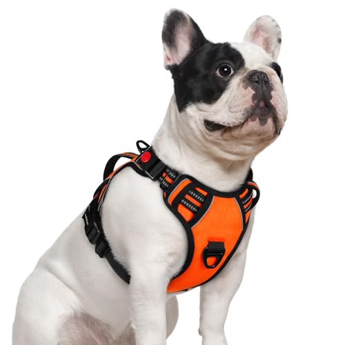 rabbitgoo Dog Harness Small Sized Dog, No Pull Pet Harness with Soft Padded Handle, Adjustable Reflective Vest with 3 Buckles, Easy Walking Harness with 2 Leash Clips, Orange, S - color: Orange, size: Small