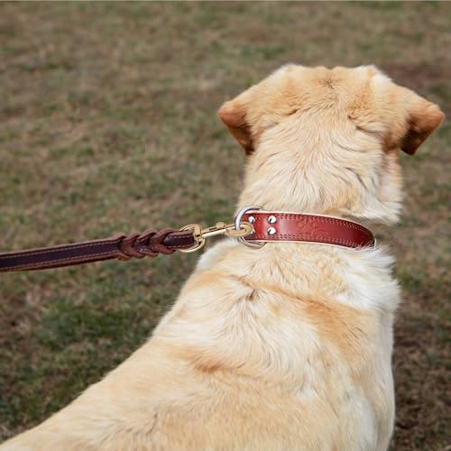 ADITYNA - Double Handle Leather Dog Leash 6ft - Heavy Duty Braided Dog Leash with Traffic Handle - Lead for Training and Walking Medium Large Breeds (Brown, Two Handles 6 Foot x 5/8") - color: Brown, size: Two Handles 6 foot x 5/8"