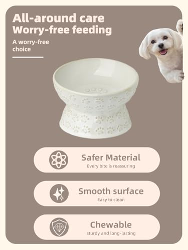 GDCZ Elevated Ceramic Puppy Bowl, 5 Oz Raised and Tilted Water Bowl, Pet Bowl for Small Dog, Fat Faced Cat, Kitten (White) - color: White
