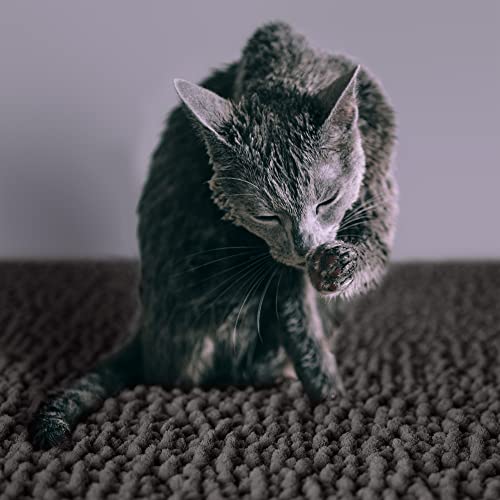 CatGuru Cat Litter Mat, Medium, Extra Large, XXL, Waterproof Litter Box Mat, Non Slip Kitty Litter Mat, Machine Washable Litter Trapping Mat, Soft Litter Tray, Cat Stuff (Medium, Dark/Heavy-Duty) - color: Dark/ Heavy-Duty