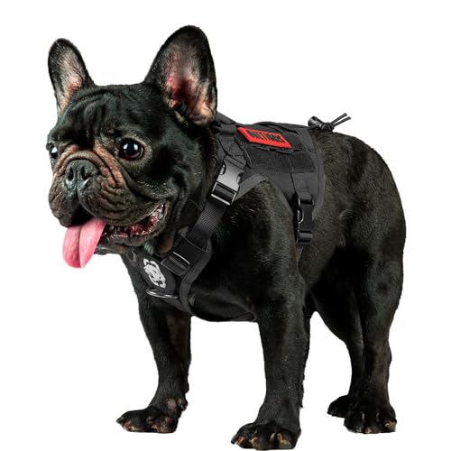 OneTigris Tactical Dog Harness Vest with Handle, Dog Harness for Large Medium Dogs,No-Pull Service Dog Vest with Hook & Loop Panels,Adjustable Dog Vest Harness for Walking(Black,Small) - color: Black, size: S