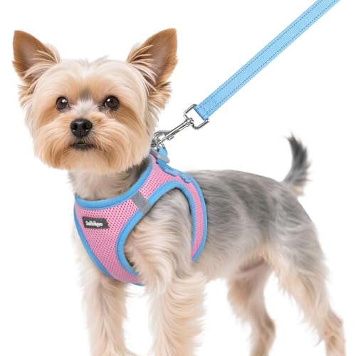 rabbitgoo Dog Harness Small Sized and Leash Set, Step-in Breathable Pet Harness, Soft Walking Reflective Puppy Vest for Small Dogs, Pink & Light Blue, XS - color: Pink & Light Blue, size: XS (Chest: 13.3 - 15.5")