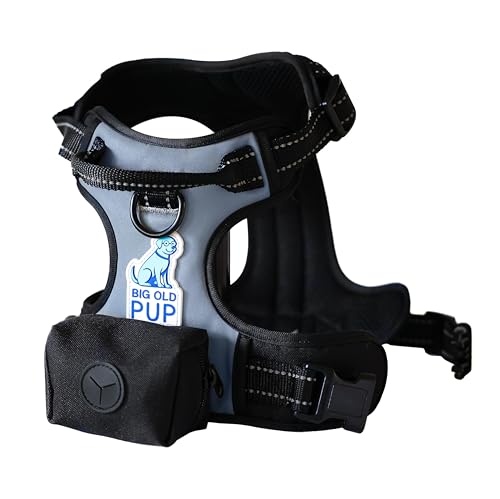 5-in-1 Reflective Dog Harness with Built-in 5ft Leash & Seatbelt Clip, Waste-Bag Pouch + 3 Rolls, Adjustable Quick-Fit Buckles, Breathable Mesh, Dual D-Rings, Medium - size: Medium