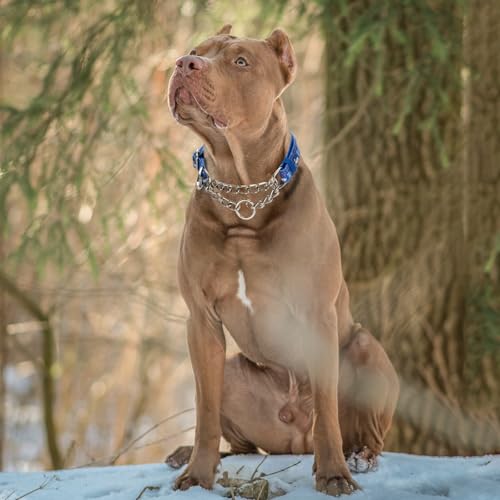 Reflective Martingale Dog Collar - Cartoon Pattern Adjustable No-Pull Training Collar with Safe Choke Chain Design for Medium, Large & XL Dogs(Cartoon M) - color: 11, size: M(Neck12"-17")