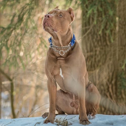 Reflective Martingale Dog Collar - Cartoon Pattern Adjustable No-Pull Training Collar with Safe Choke Chain Design for Medium, Large & XL Dogs(Cartoon XL) - color: 11, size: XL(Neck21"-27")