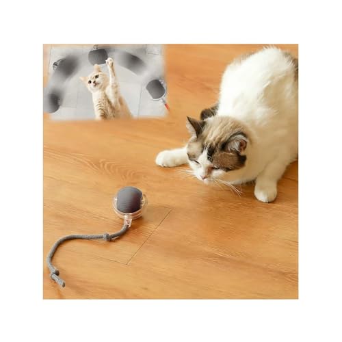 Interactive Cat Toys for Indoor Cats, Agility Move Cat Balls,Motion Activated Cat Balls, Cat Toys for Bored Indoor Cats(Grey) - color: Grey