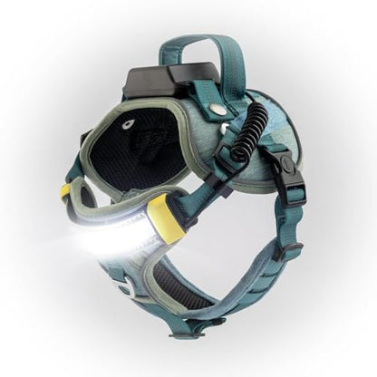 Lumi One LED Dog Harness for Night Visibility and Safety, Patent Pending–High-Visibility Light-Up Dog Vest with 1000 Lumen LED, Rechargeable Battery, Adjustable Fit, Reflective Trim (Teal Blue, Small) - color: Blue, size: Small