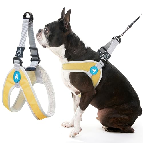 Gooby Simple Step in III Harness - Yellow, Large - Small Dog Harness with Scratch Resistant Outer Vest - Soft Inner Mesh Harness for Small, Medium Dogs - color: Yellow, size: Large chest (18.5∼23.75")