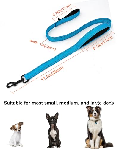 Solmoony 4FT Blue Strong Dog Leash with 2 Padded Handles, Traffic Handle Extra Control, Double-Sided Reflective Walking Lead for Small Medium and Large Dogs(Blue, 4FT) - color: Blue, size: 4FT
