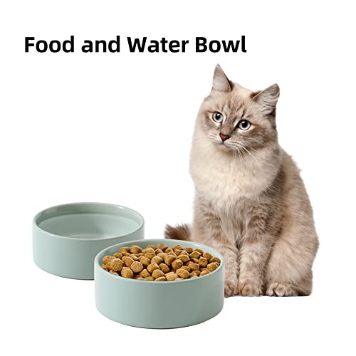 Havniva Cat Bowls Water Bowl Set of Two, 5.1” Ceramic Cat Food and Water Bowl Whisker Friendly Pet Food Bowls for Indoor Cats, Wide Cat Water Dish Prevent Whisker Fatigue Non Slip Cat Feeder - color: 2 x Bowl - Light Green