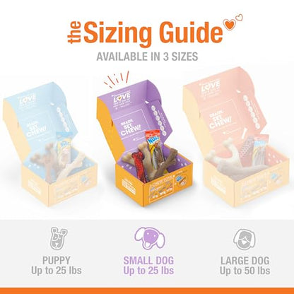 Nylabone Dog Gift Box, Includes 3 Strong Chew Toys and 1 Natural Treat, Gifts for Dogs, Small - Up to 25 lbs, 4 Pack - size: Small (4 Count)