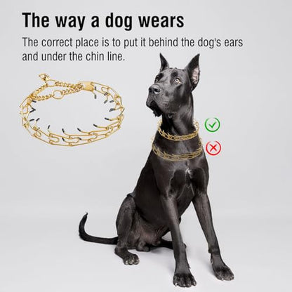 Dog Pinch Collar Stainless Steel,Gold Prong Dog Training Collar,No Pull Martingale Collar Stainless Steel Metal Chain Collar,Adjustable Size Collar for Medium and Large Dogs (M, Gold) - size: M