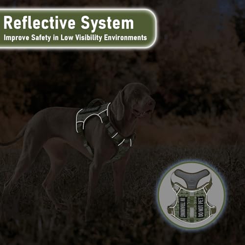 AUNZO Service Dog Vest Harness with 2 Velcro Patches, No Pull Dog Harness for Walking Training Hiking, Metal D-Rings Easy on/Off Neck Buckle Reflective Strips Soft Padded Handle, Green - color: Green Ethnic, size: Medium