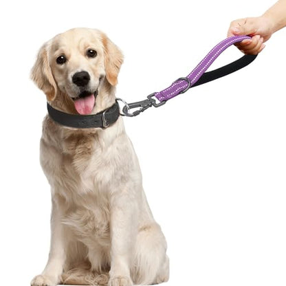 12 Inch Short Training Dog Leash with Padded Handle for Large Dogs, Lead with Locking Carabiner Clip, Strong Training Leash (Purple,12 Inch) - color: Purple