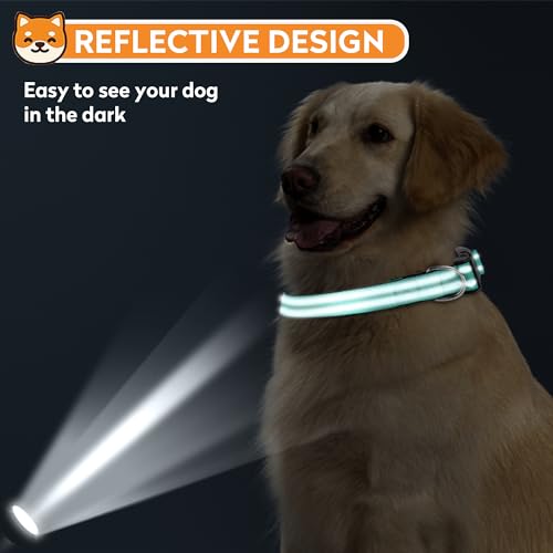 Reflective Dog Collar, Adjustable Soft Neoprene Padded Nylon Pet Collars with Buckle for Medium Dogs, Teal,M - color: Teal, size: Medium