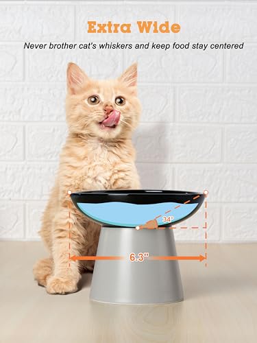 LoeJan Elevated Cat Food and Water Bowls Set, Extra Wide and Raised Ceramic Feeder, Anti-Vomit Whisker-Free Pressure Feeding Bowl for Kittens Adult Small Dogs(Black, 2 Pack) - color: Black, size: 2 Pack (Food & Water Bowls)