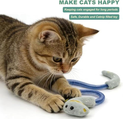 Interactive Cat Toys Set, Silvervine Chew Sticks and Cat Spring Toy, Indoor Catnip Toys for Exercise and Dental Care, for Adult Cats and Kittens (10 Packs) - color: 10 Packs