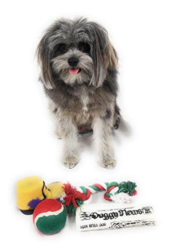 Christmas Dog Stocking Toys. Pack Assorted with Squeaker Inside of Newspaper Toy, Squeaky Boot, a red, Green & White Tennis Ball & red White & Green Knotted Rope Xmas Toy. Small Medium Large Breeds