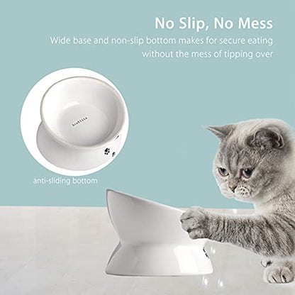Cat Food Bowls, 10 OZ Elevated Cat Bowls for Cats and Small Dogs, Tilted Pet Feeder Bowl with Raised Stand Protect Cat's Spine, Ceramic Cat Water Bowl No-Spill, Stress Free Cat Dish 2pcs - color: White*2