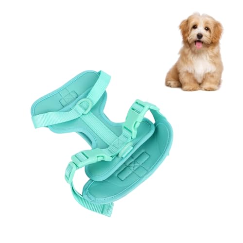 Adjustable Soft Breathable Escape Proof Dog Vest Harness, Pet Chest Harness for Small Dogs and Puppies, Bright Color Safety Design with Dual D Rings for Walking and (S) - color: Green