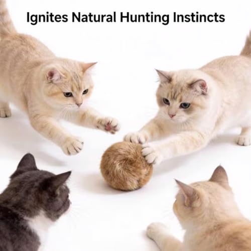 Rabbit Fur Ball Cat Toy, Soft Fluffy Rabbit Fur Cat Toys, Furry Catnip Rabbits Furs Balls with Washable & Fun to Chase, for Kicks & Games, for Indoor Exercise Ball & Bonding Cat (5PCS)