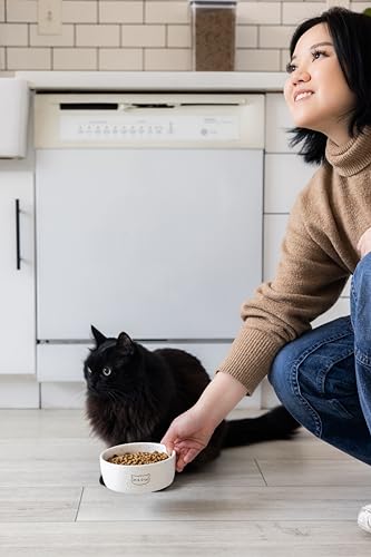 Pearhead Ceramic Meow Cat Bowl, Holds 12 oz, Whisker-Friendly Pet Dish for Food and Water, Modern Speckled White - color: Speckled "Meow", size: Single Bowl
