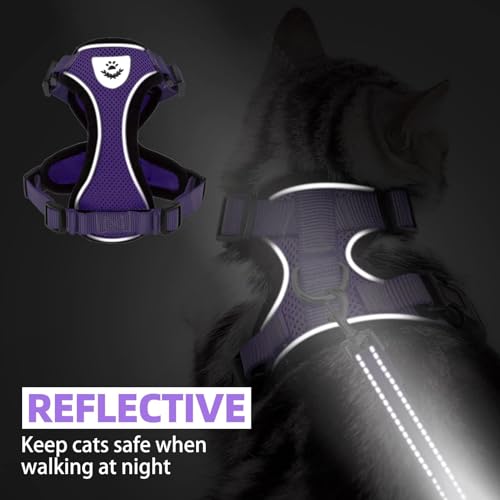 PUPTECK Cat Harness and Leash Set Escape Proof Reflective Cat Walking Harness Adjustable Soft Breathable Mesh Vest for Small Pets, Purple, XS - color: Purple, size: XS (NECK 8.5", CHEST 11"-14")