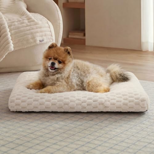 Bedsure Small Washable Dog Bed for Crate, Soft Fluffy Bubble Fleece Pet Bed Mat, Non-Slip and Machine Washable Kennel Sleeping Pad for Small Dogs/Puppy/Cat, for Crate/Floor/Car, 23"x17"x3", Beige - color: Beige, size: 23x17x3