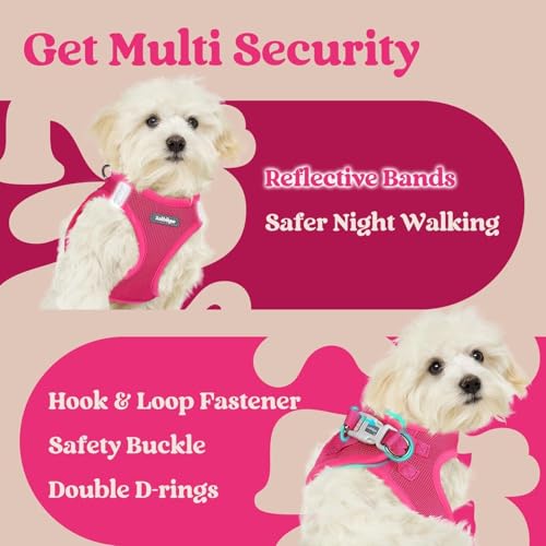 rabbitgoo Small Dog Harness, Step-in Soft Mesh Puppy Vest with Safety Buckle, Breathable Reflective Pet Harness for Small Sized Dogs, Rose Red M - color: Rose Red, size: M(chest:16.0"-18.5")