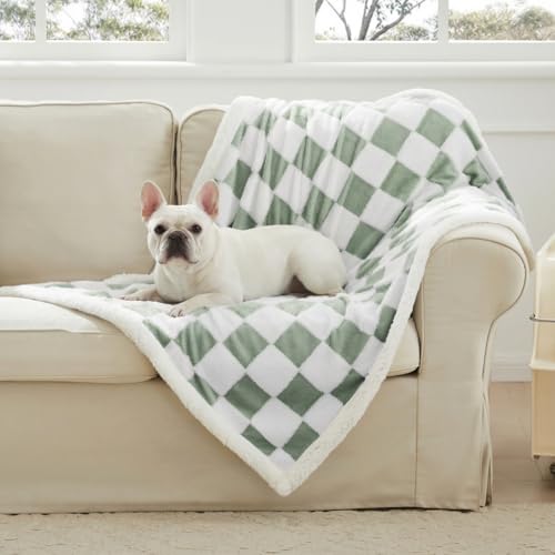 Ohocut Checkered Dog Blanket, Sage Green Jacquard Sherpa Blankets for Small Dog and Cats, Cute Aesthetic Style Fluffy Fleece Pets Blanket for Couch Protection Washable, 30"x40" - color: Green, size: 30"x40"