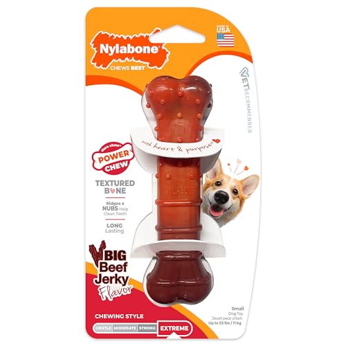 Nylabone Textured Bone Power Chew Toy for Dogs, Durable & Tough Dog Toys for Aggressive Chewers, Beef Jerky Flavor, Small Dogs - Up to 25 Ibs, 1 Count - size: Small