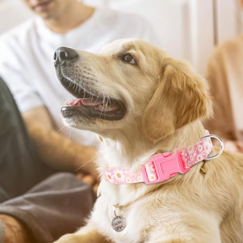 Male Dog Collar, Gradient Style Pattern Design Quick Release Buckle Soft Nylon Blue Dog Collars Adjustable for Small Medium Large Pet Boy Dogs, XL - color: 17, size: XL(Neck 16-26")
