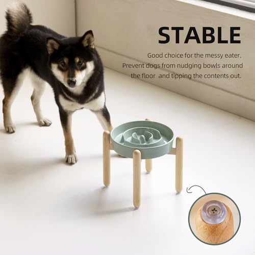 Havniva 8.2” Raised Slow Feeder Dog Bowls, 1.6 Cups Ceramic Dog Bowl Slow Feeding for Medium Breed, Elevated Puzzle Dog Food Bowl with Wooden Stand Non-Slip Anti-Gulping & Anti-Choking - color: 1 x Light Green+Stand-A, size: 8.2inch